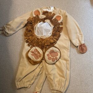 Adorable Lion Costume for Kids